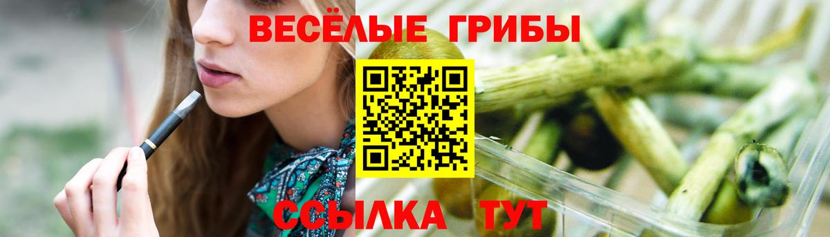Галлюциногенные грибы Magic Shrooms Гусиноозёрск